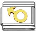male sign charms