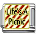 picnic charms