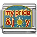 pride joy charms