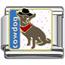 dog Italian charms