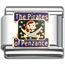 Pirates italian charms