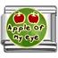 apple Italian charms